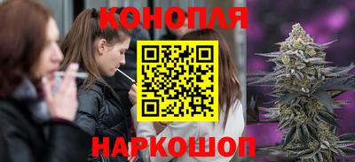 дмт Донской