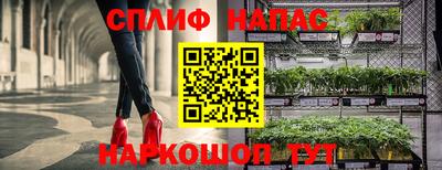 дмт Донской