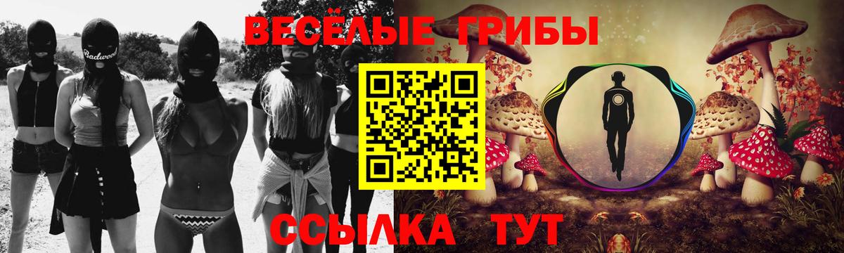 Псилоцибиновые грибы Psilocybine cubensis Лыткарино