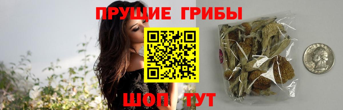 Псилоцибиновые грибы Psilocybe  Псилоцибиновые грибы Magic Shrooms  Лыткарино  Вход с VPN 